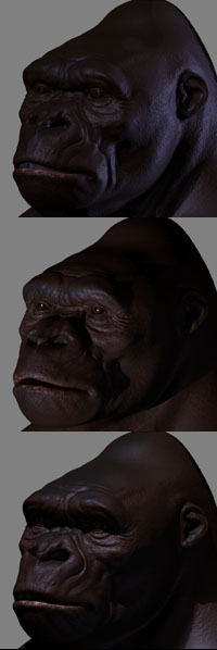 lady-renders.jpg