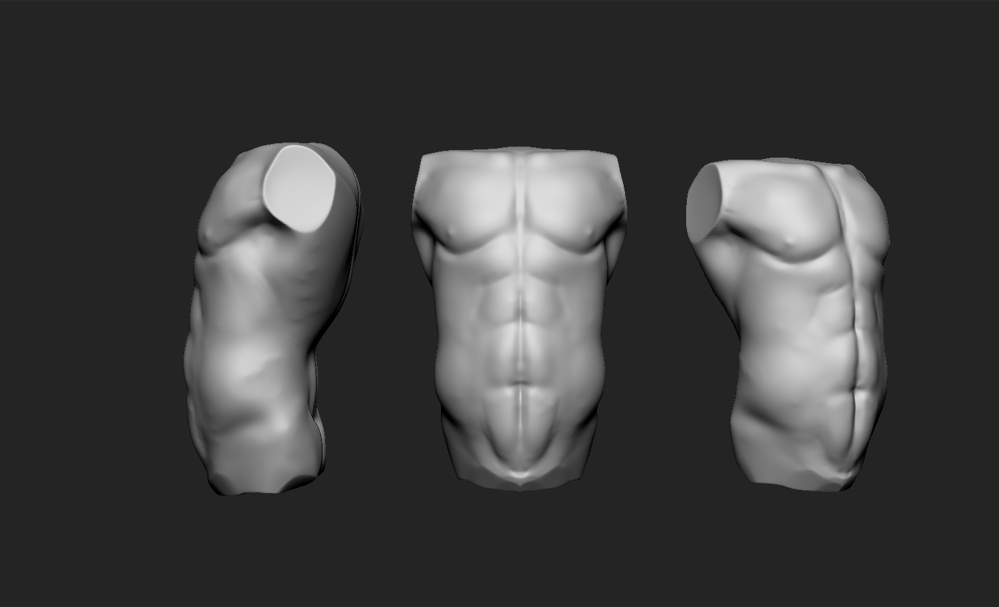 torso.jpg