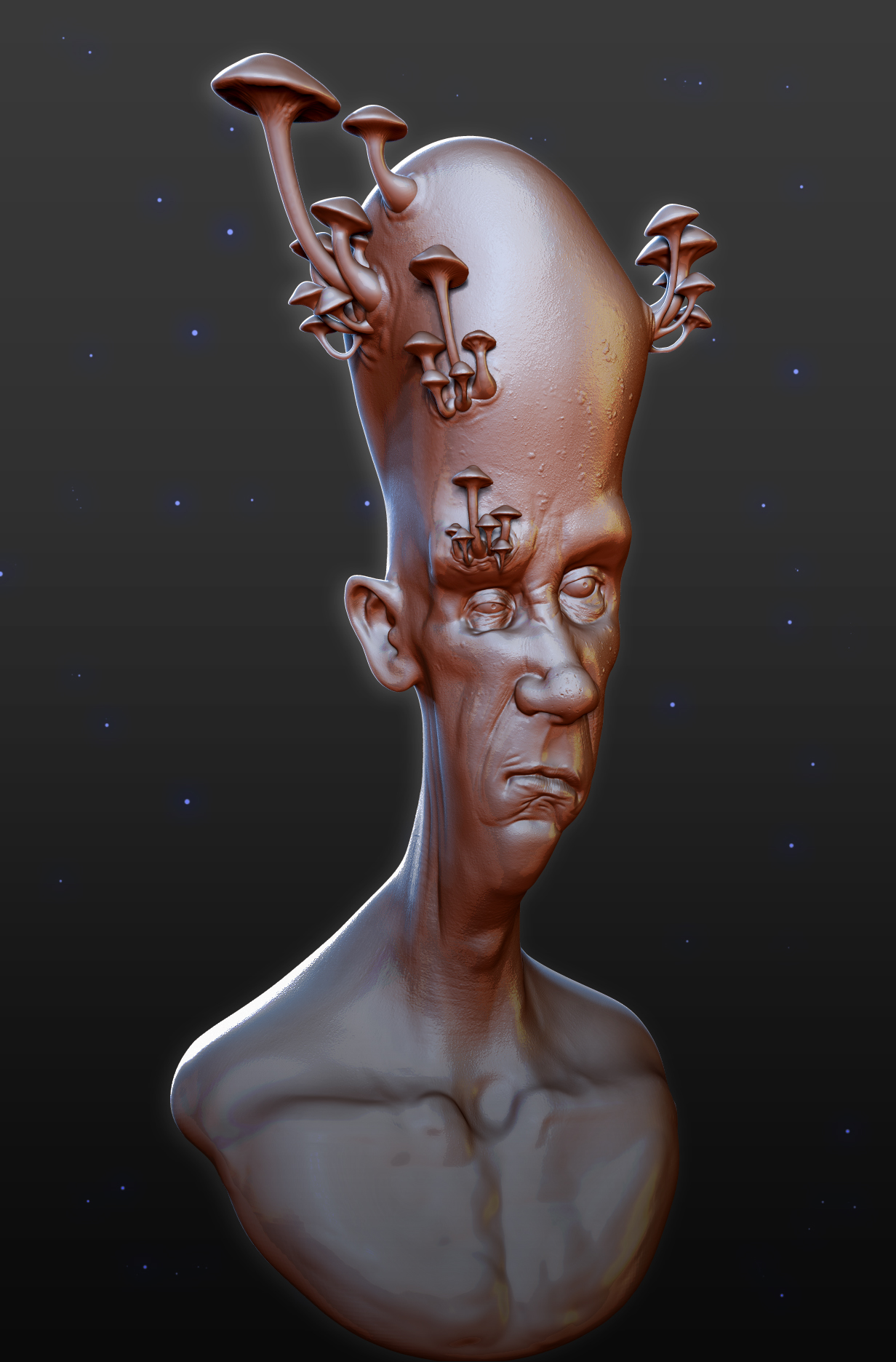 mrfungi.jpg