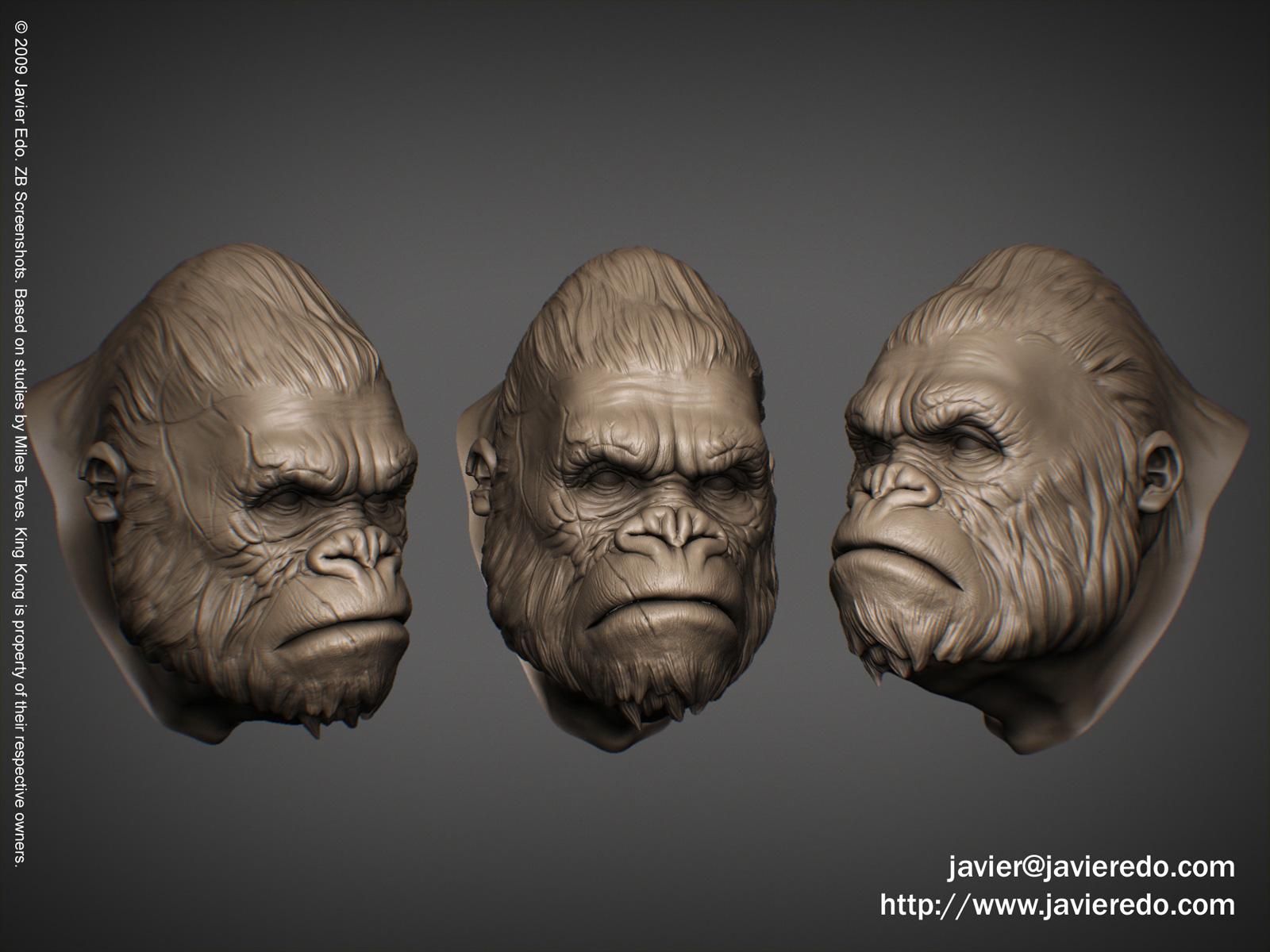 hairkongbustprintmetocoto.jpg