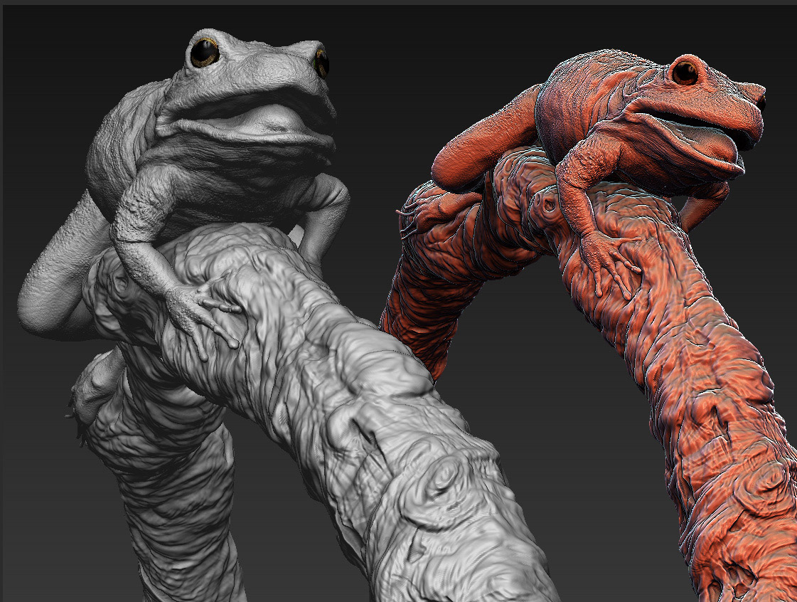 frog_ZB3.jpg