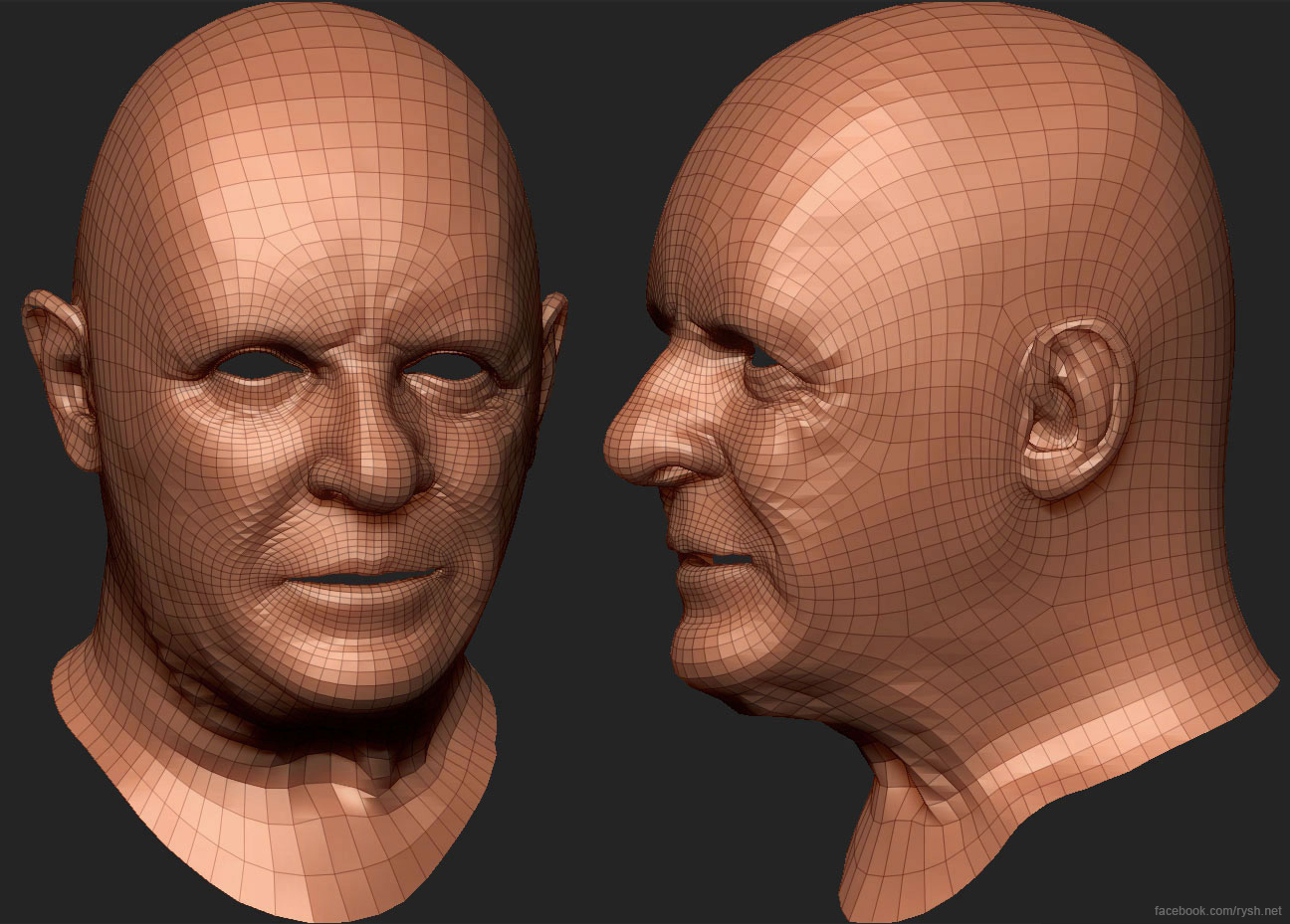 wip_proportions.JPG
