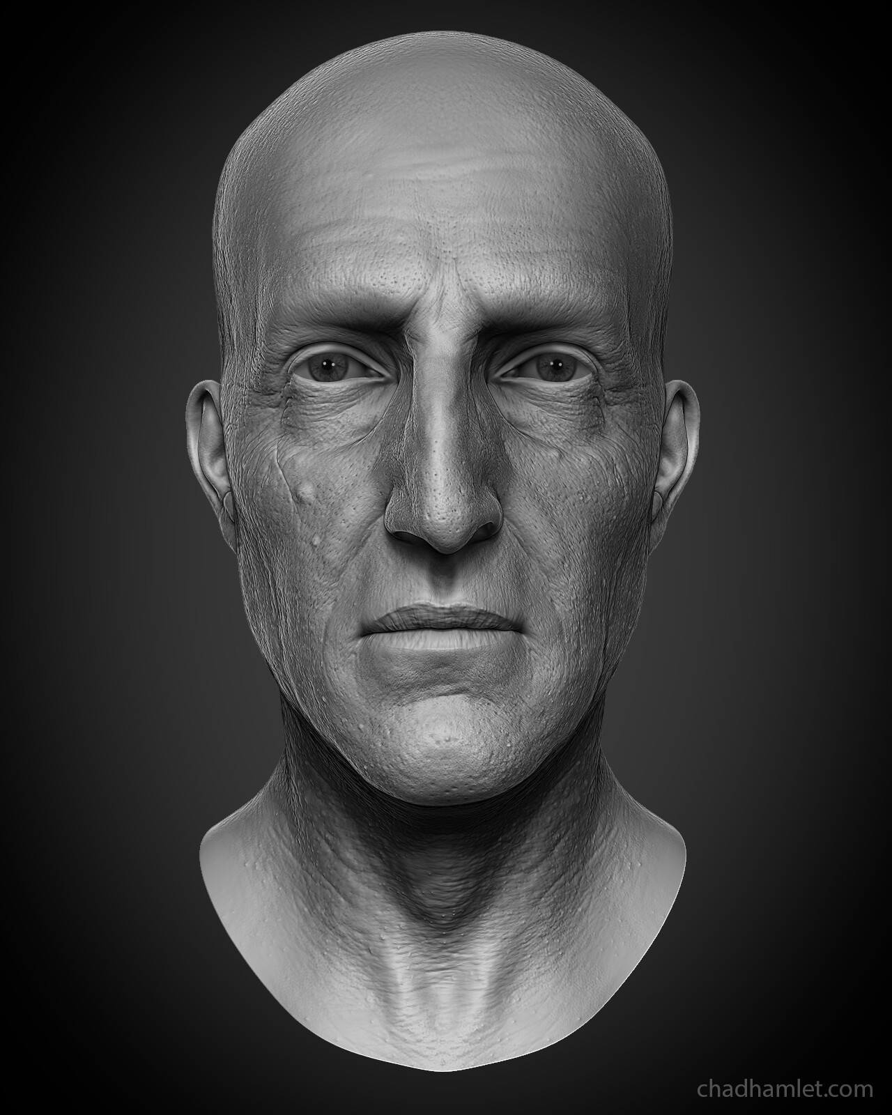 chx-hamlet-chadoldman-01.jpg