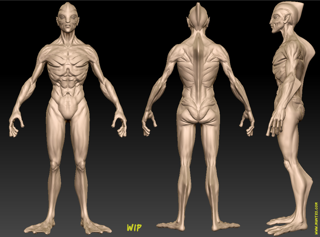 fin_body.jpg