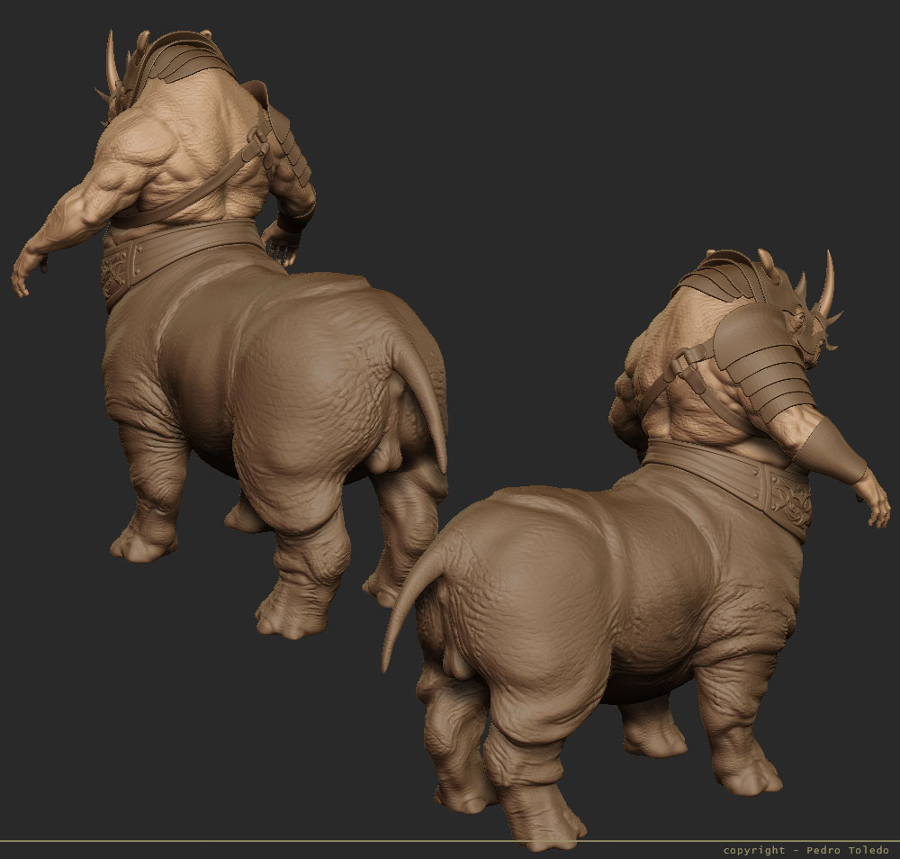 rhino-09.jpg