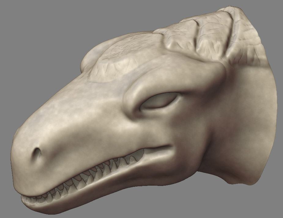 head.jpg