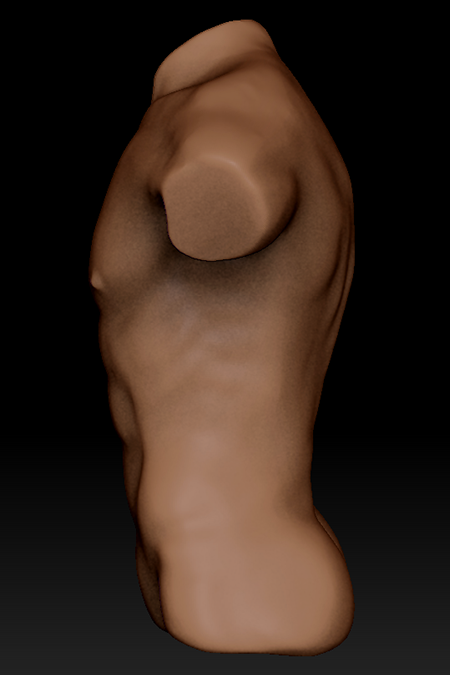 torso_side.png