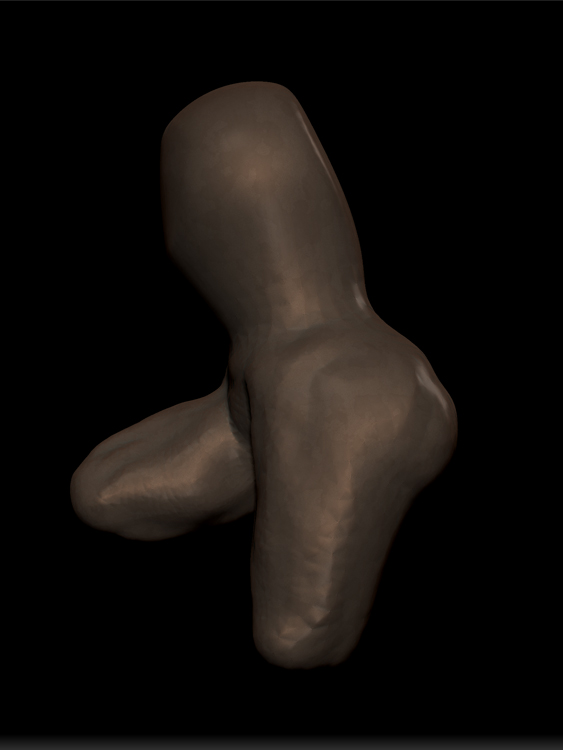 ANATOMY STUDY SCULPTRIS 1.jpg