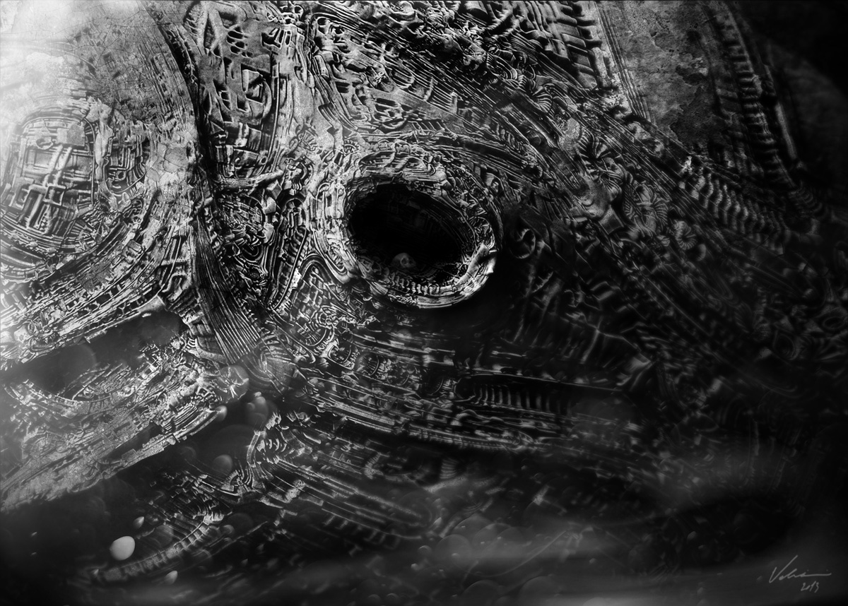FOSSIL-II.jpg