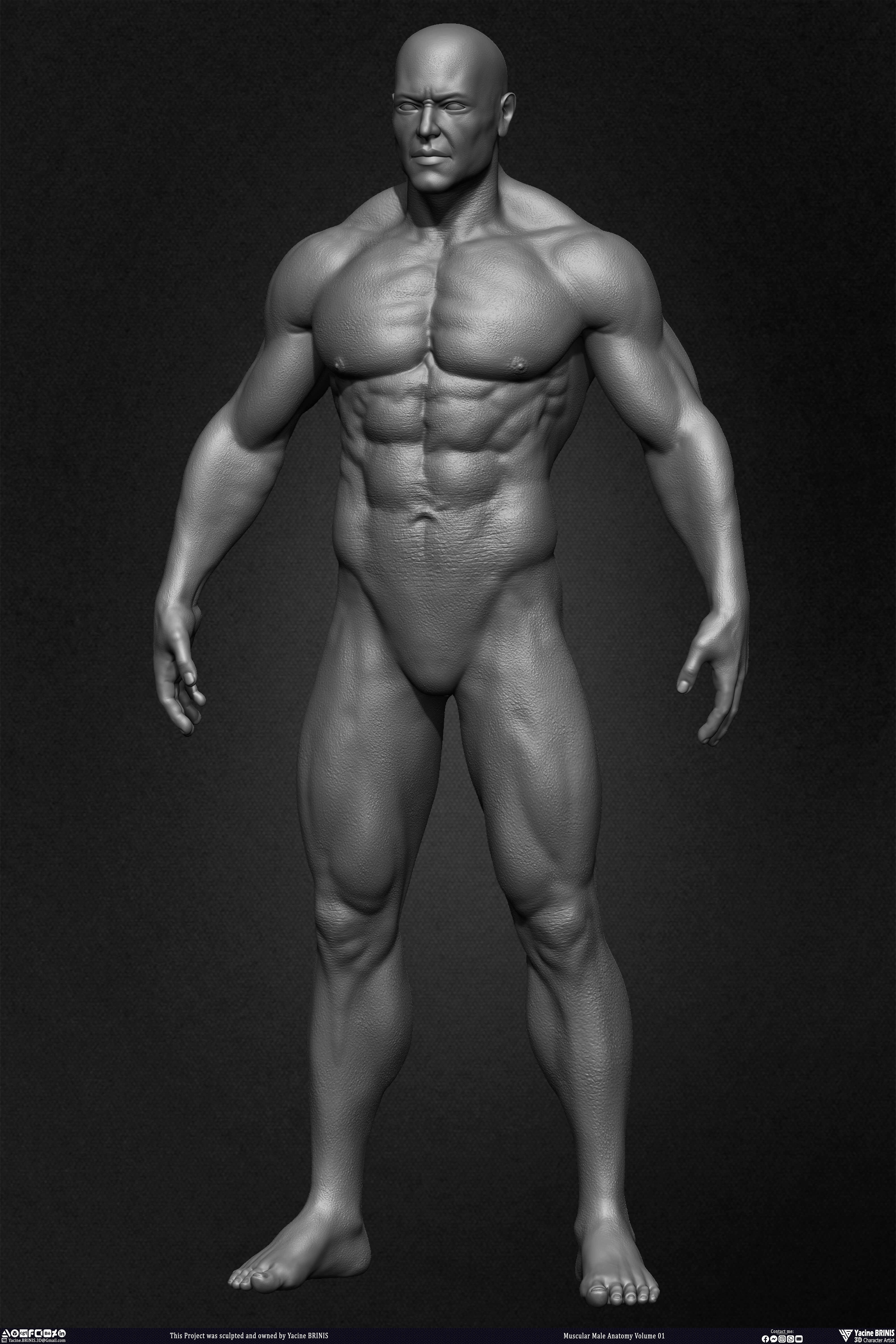Muscular Male Anatomy 3D Character sculpted by Yacine BRINIS 006