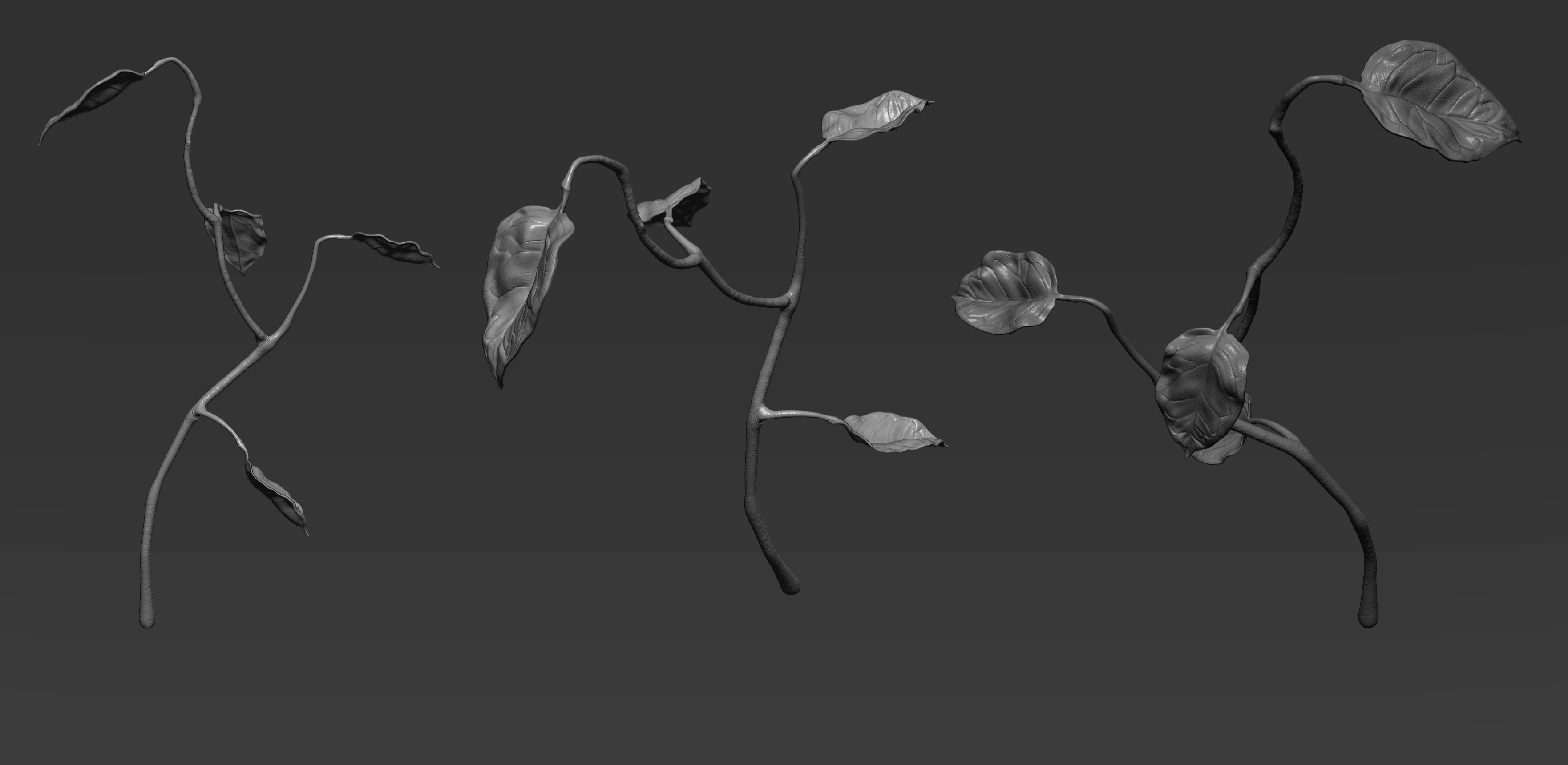 Planta_01.jpg