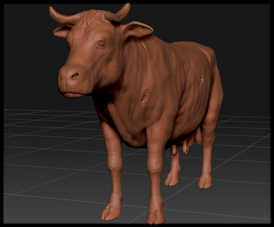 cow34.jpg