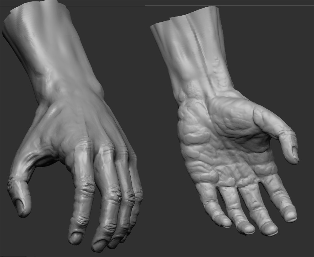 z_hand.jpg