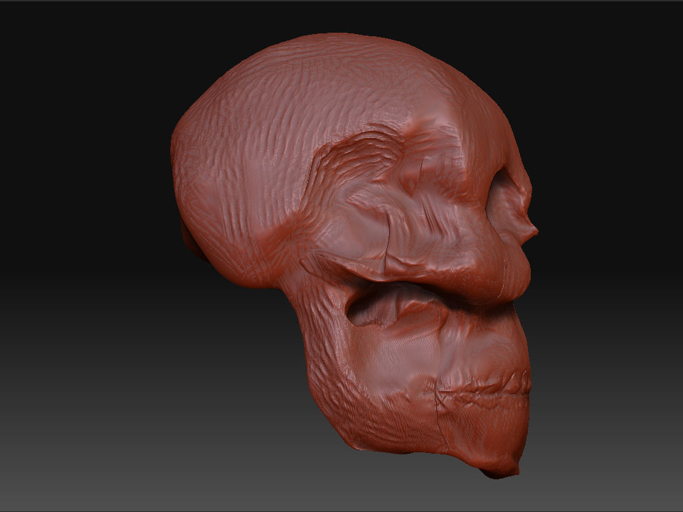 James_Skull_Side.jpg