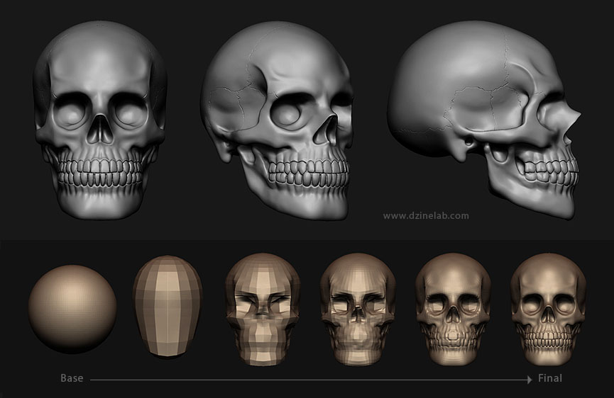 skull_sculpt.jpg