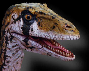 dino2.gif