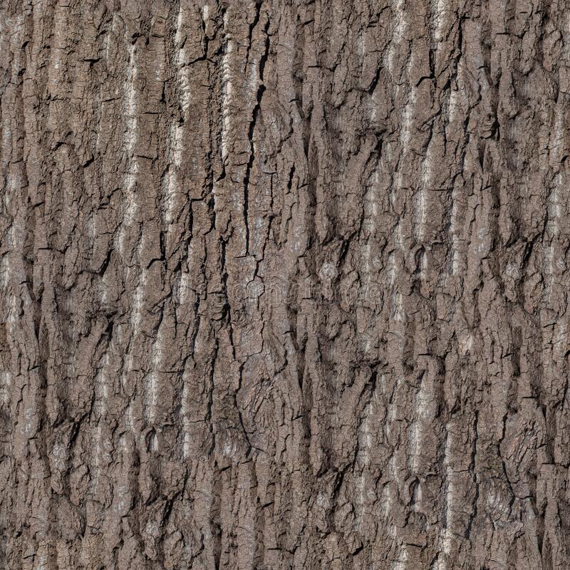 tree-bark-seamless-texture-detailed-wooden-pattern-macro-178747346