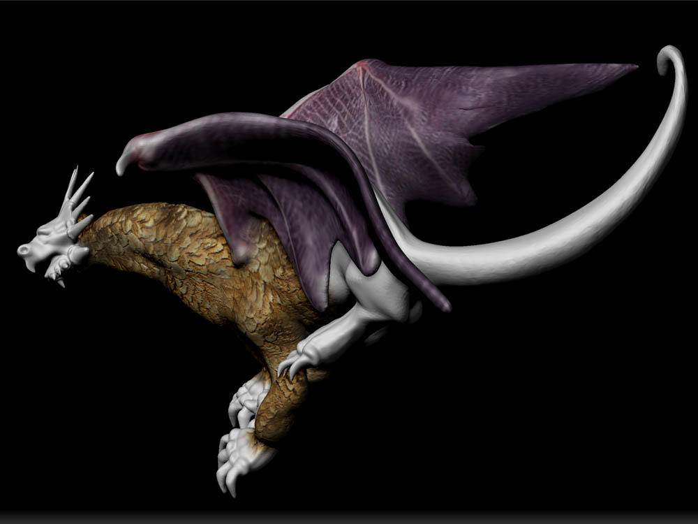 DRAGON SPOTLIGHT 2.jpg