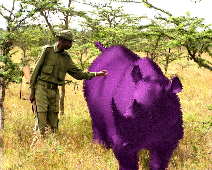 Fuzzerocerous.jpg