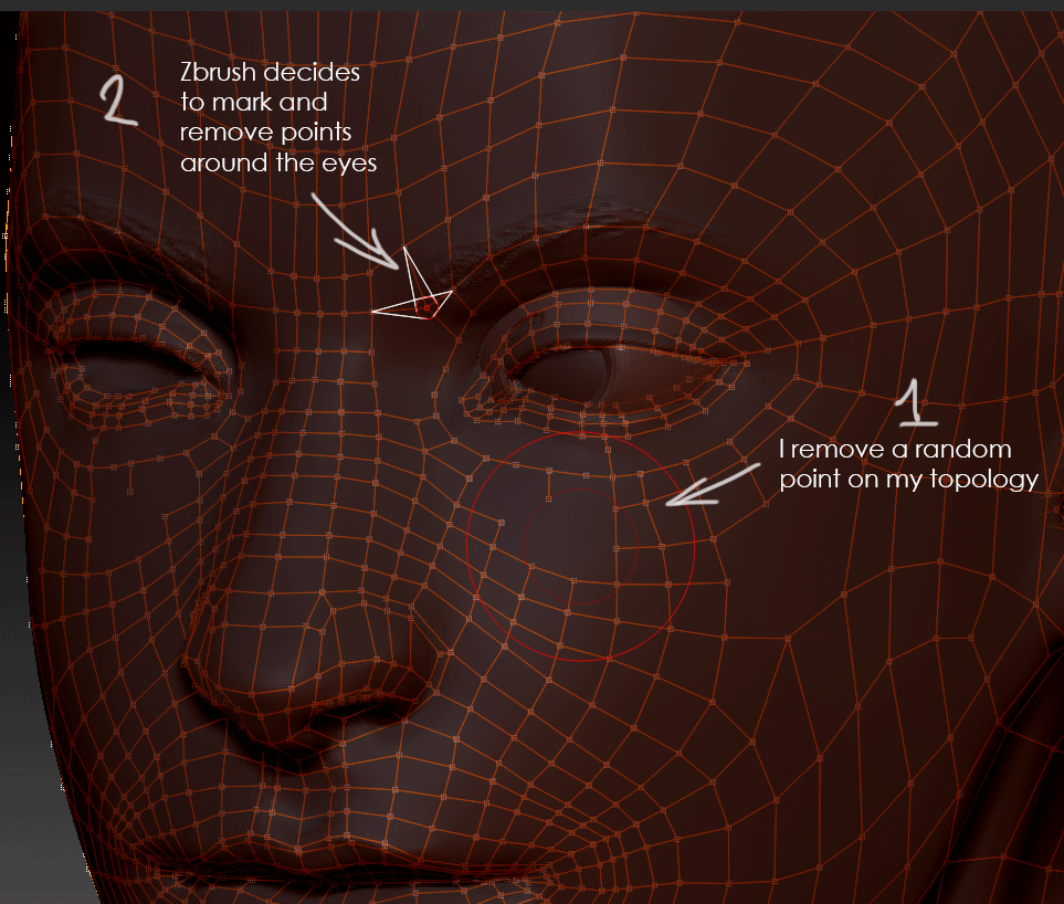 Zbrushbug.gif