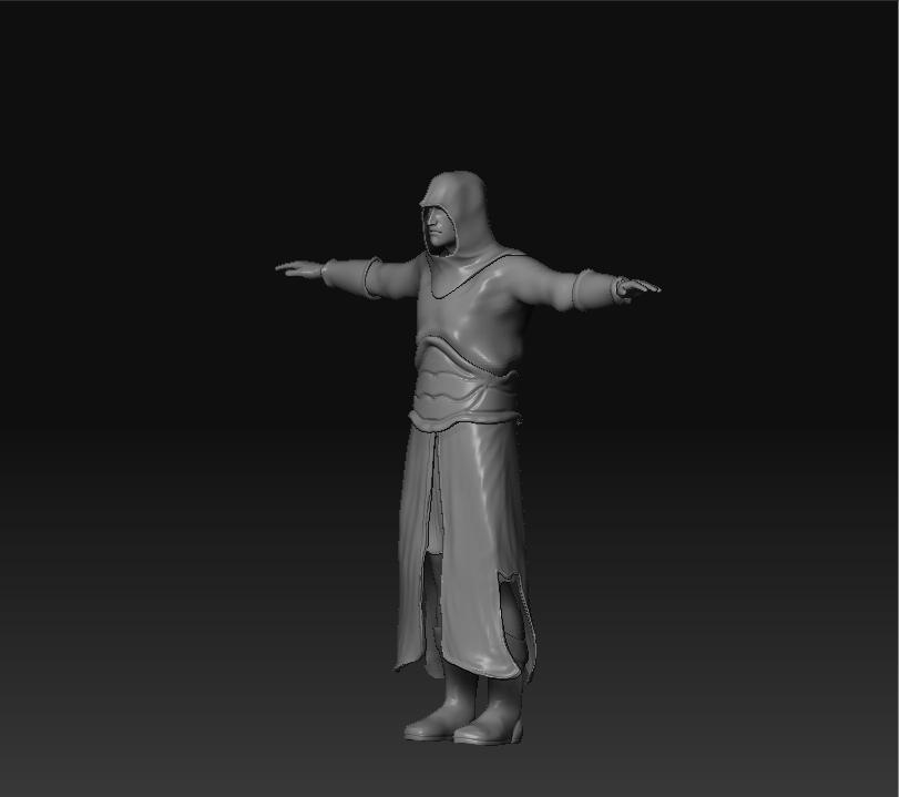 ASSASSIN_view.JPG
