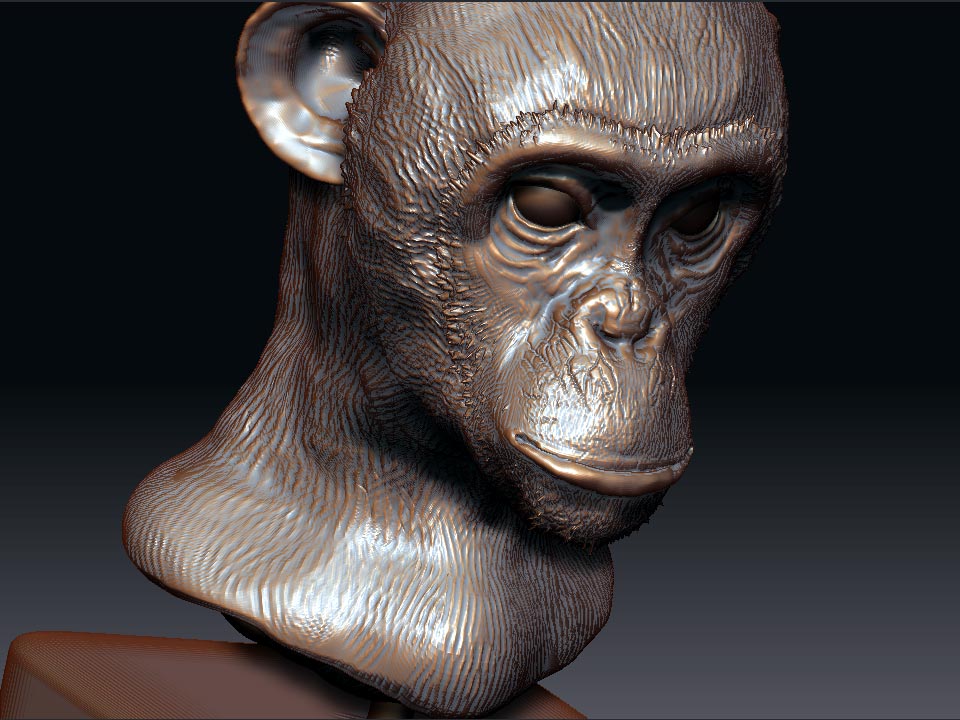 Chimp6.jpg