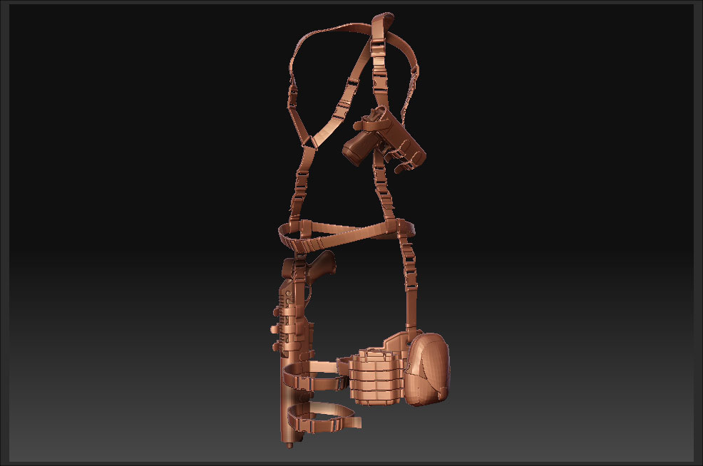 Holster.jpg