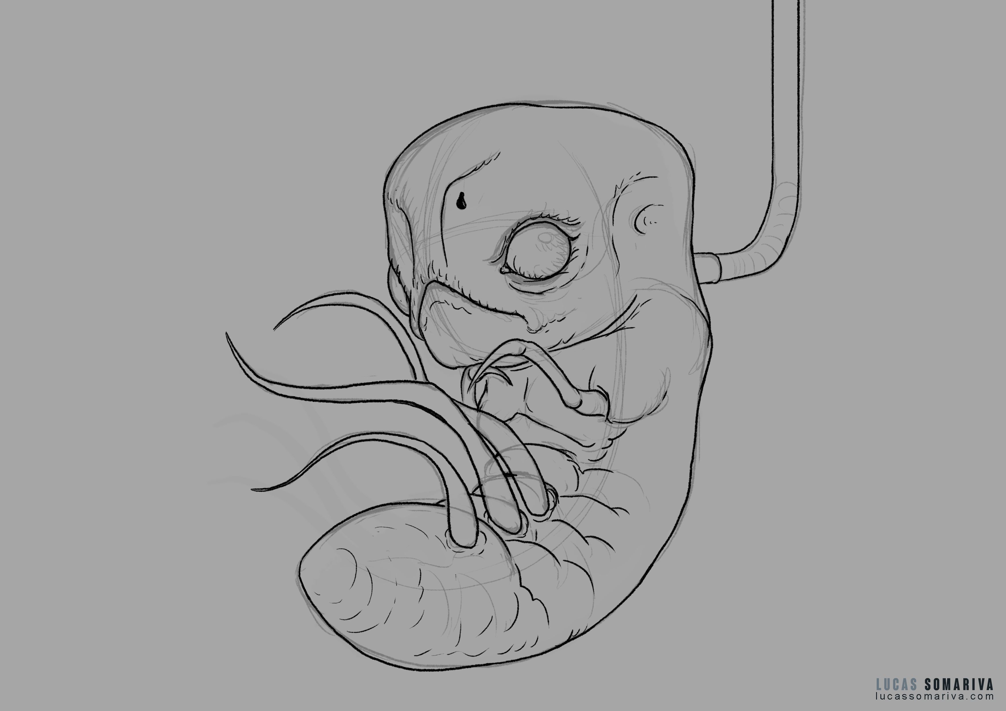 Boceto_Embryo_01b.jpg