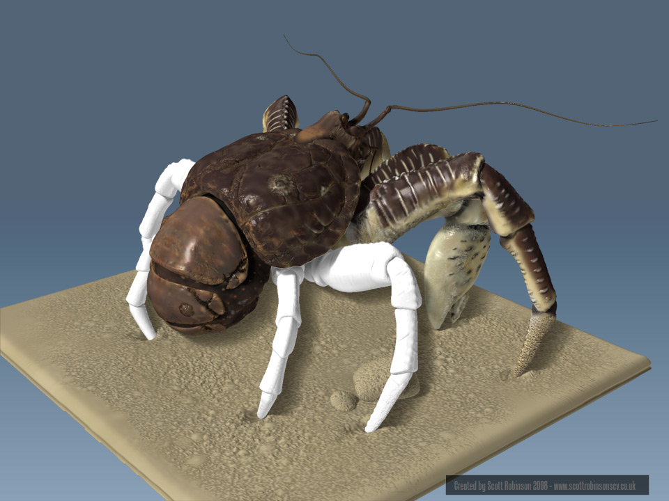sr_zb_wip_stuff_crab04.jpg