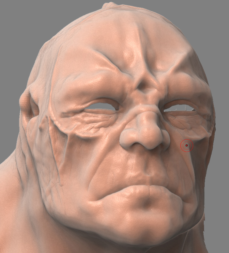 up_close.jpg