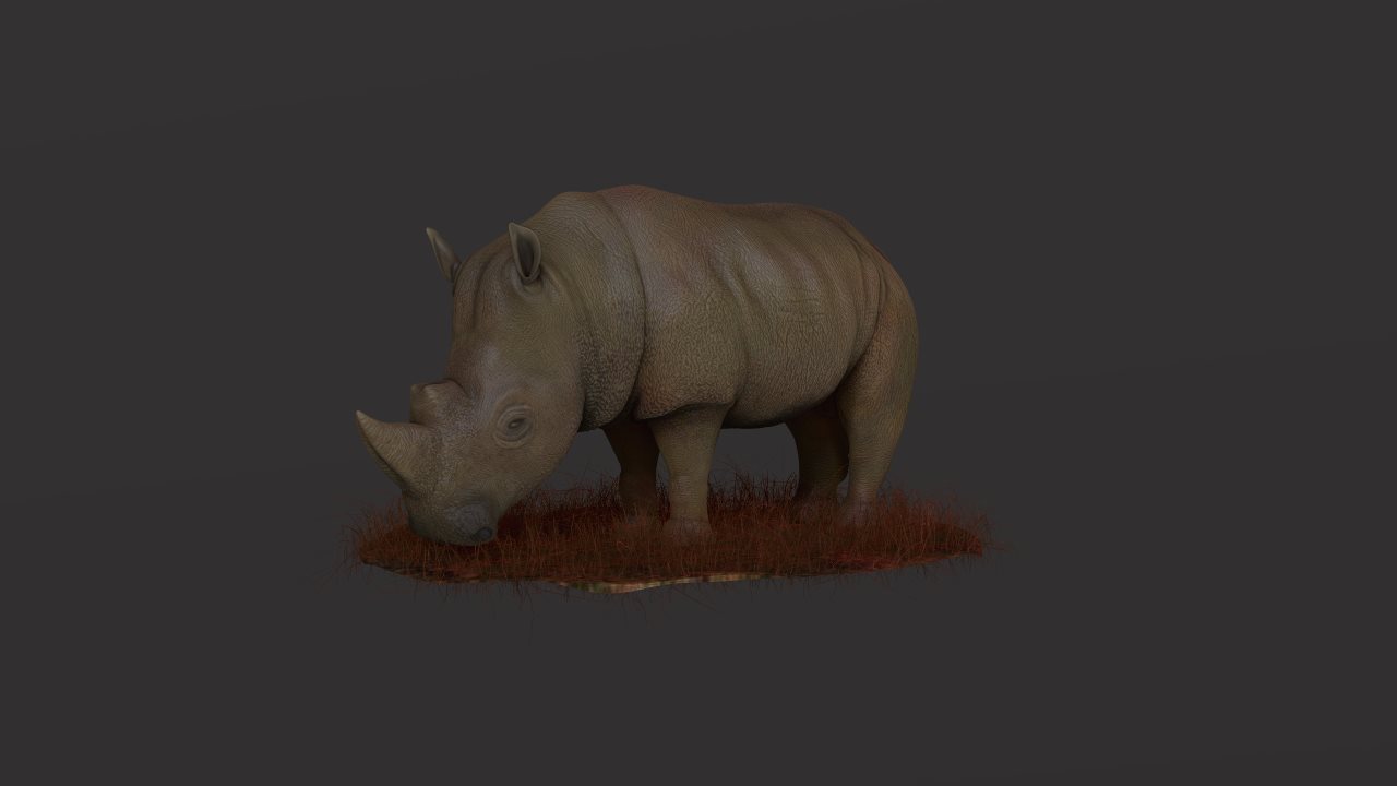 RhinoPic.jpg