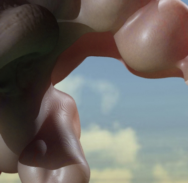 nose02gzoom.jpg