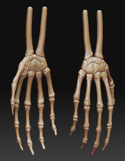 hand.jpg