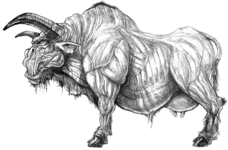 Bull Side ref.jpg