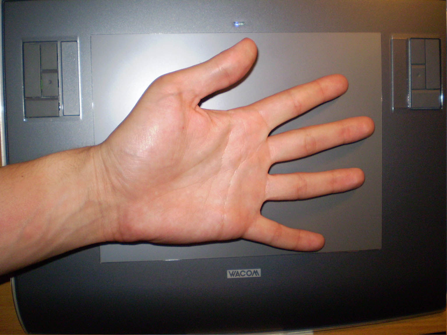 hand_photo2.jpg