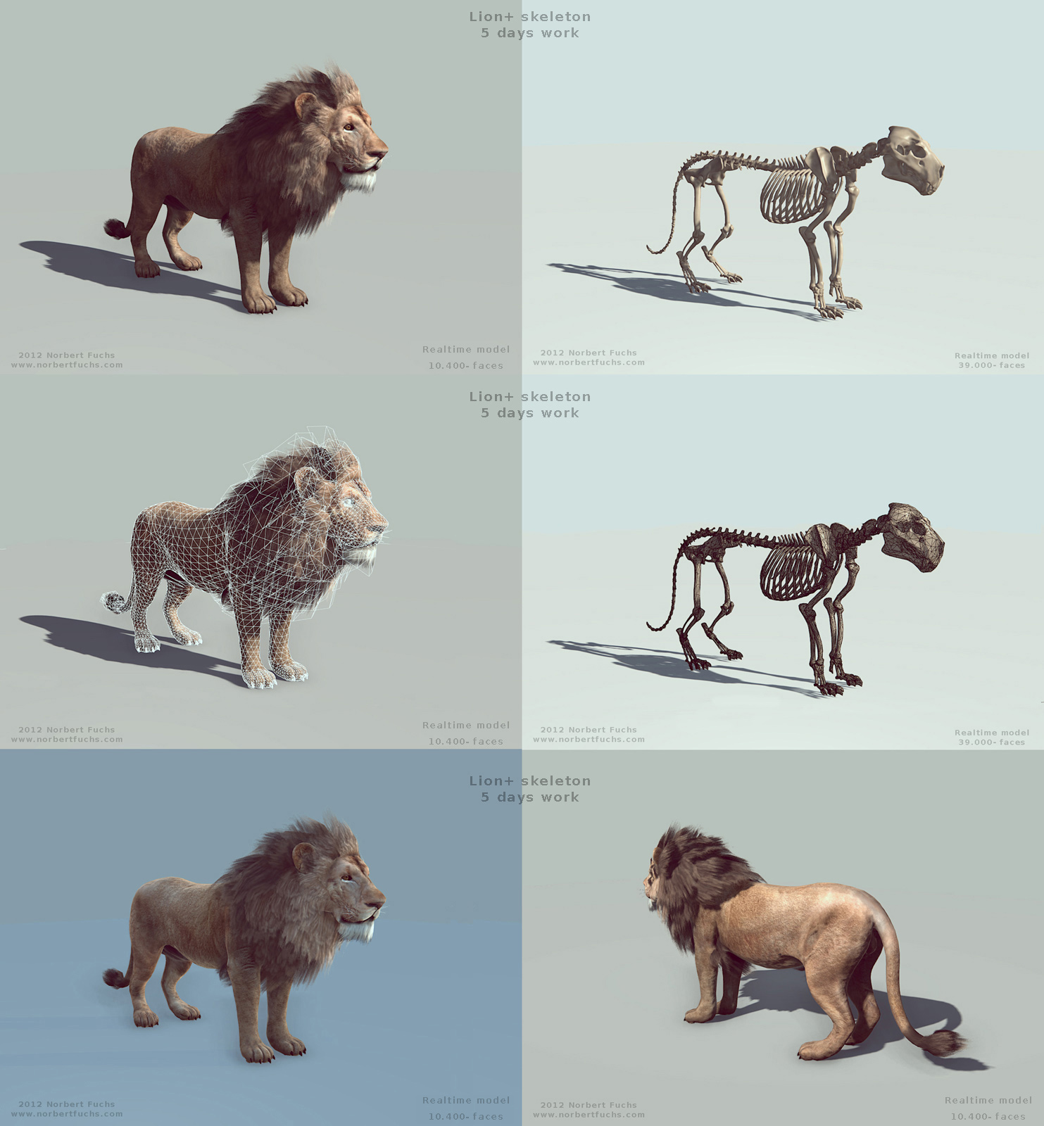 Lion_realtime_1600_web.jpg
