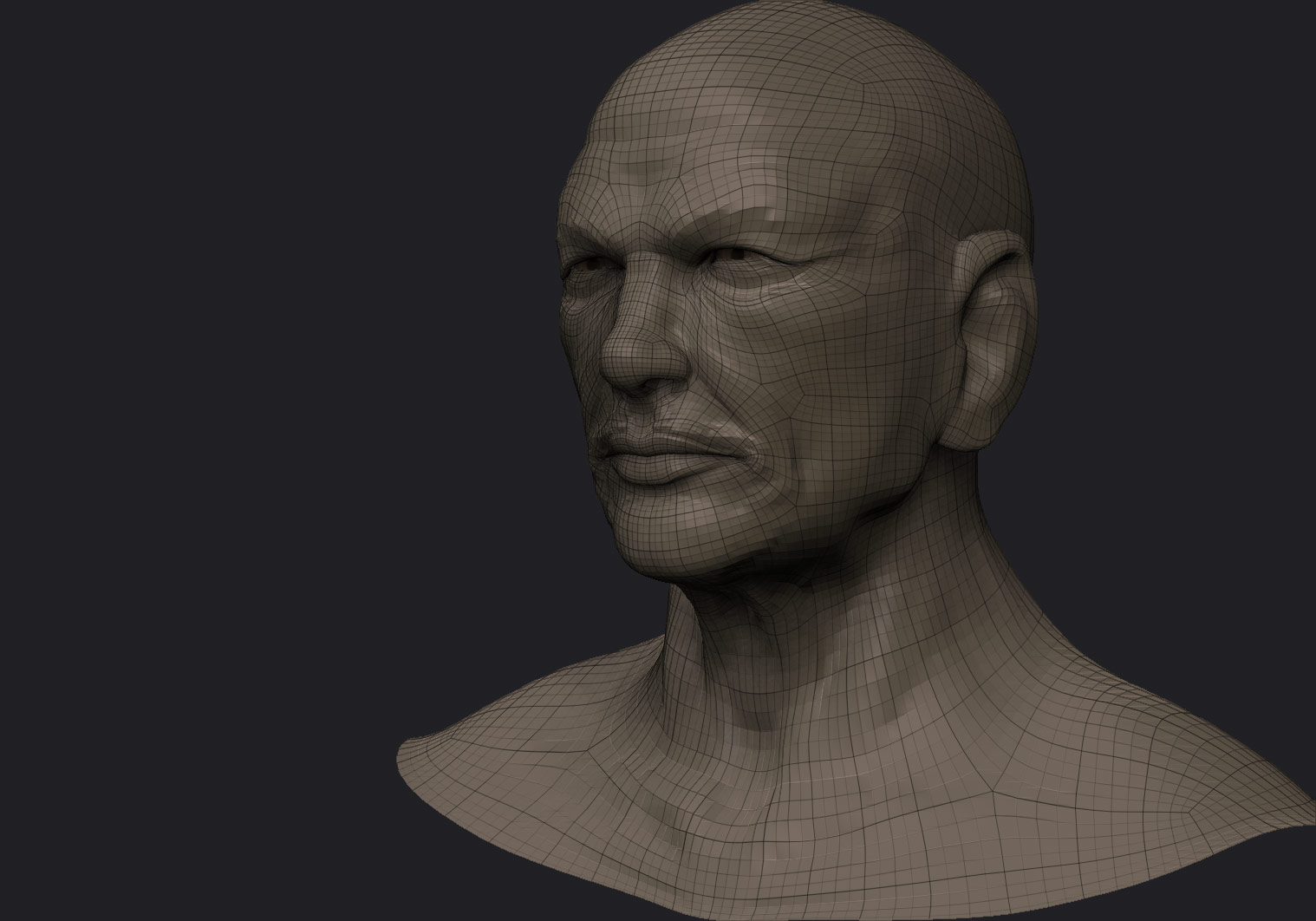 Wip1.jpg