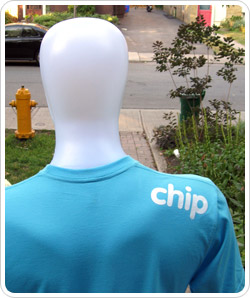 main-chip.jpg