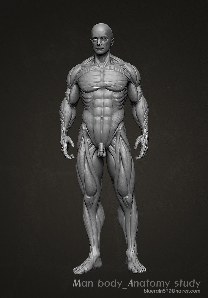 body_01.jpg