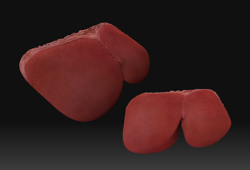 zbrush_leber.jpg