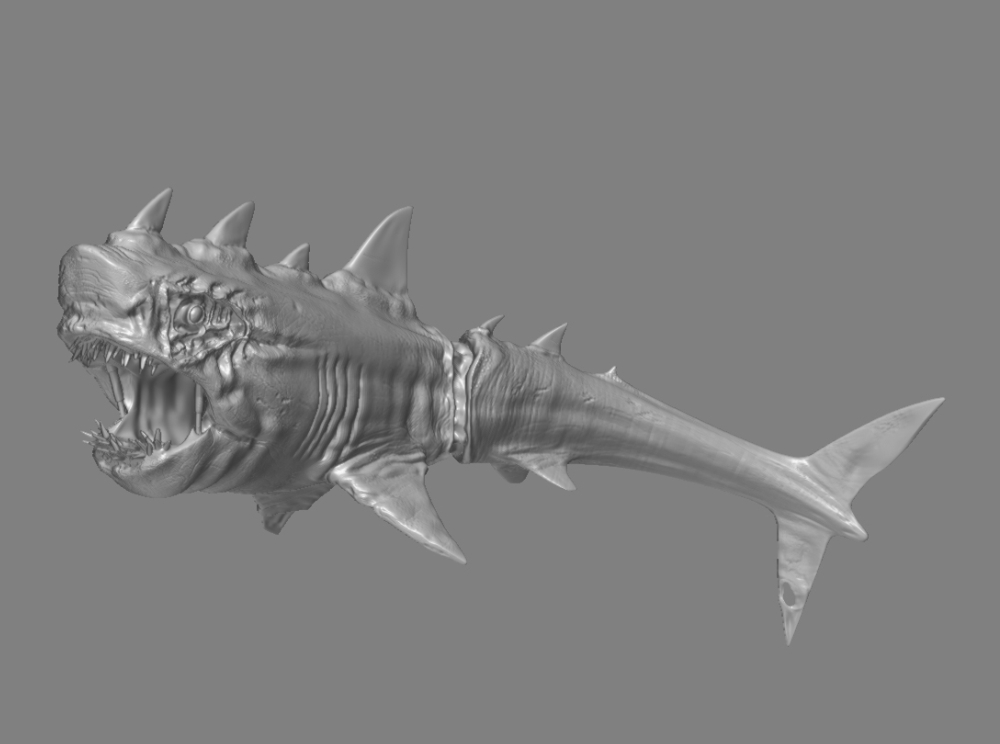 Shark4.jpg