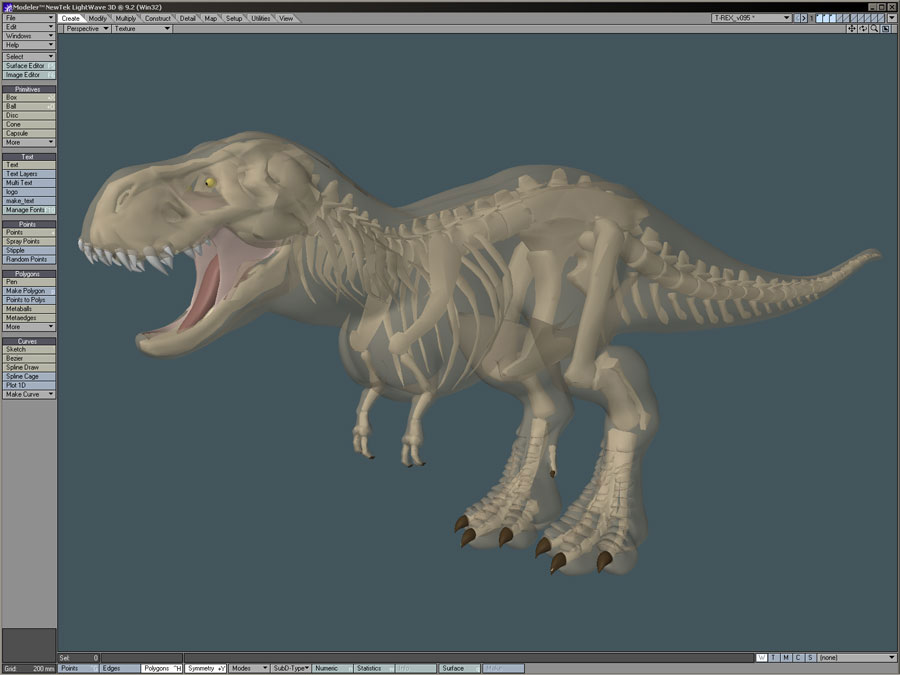 V-REX_X_Ray.jpg
