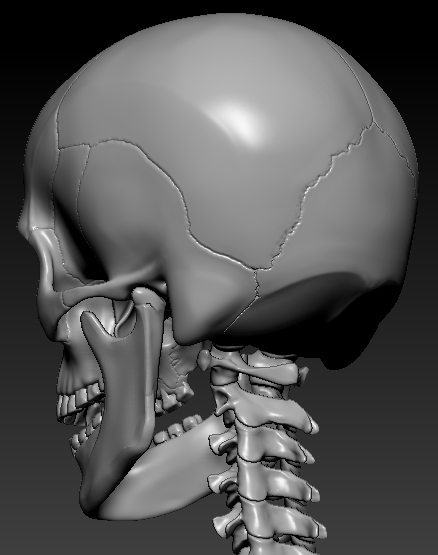 ZBrush Document10th2.jpg
