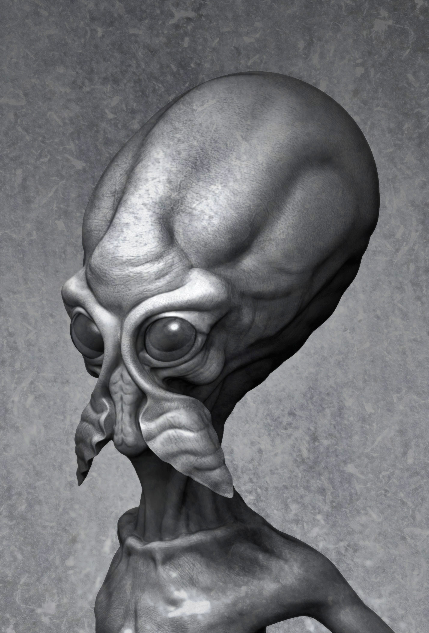 BPR_Render2.jpg