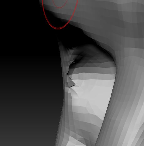 polygonal.JPG