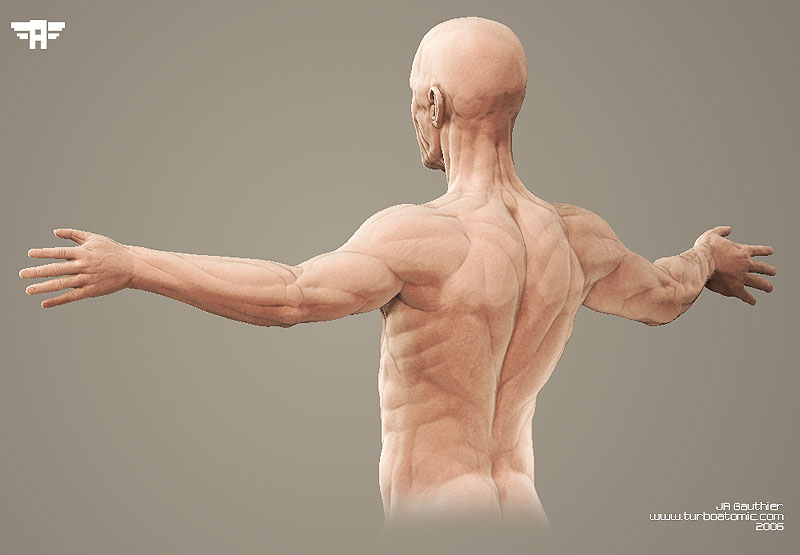 JRupper_bodyv4_back.jpg