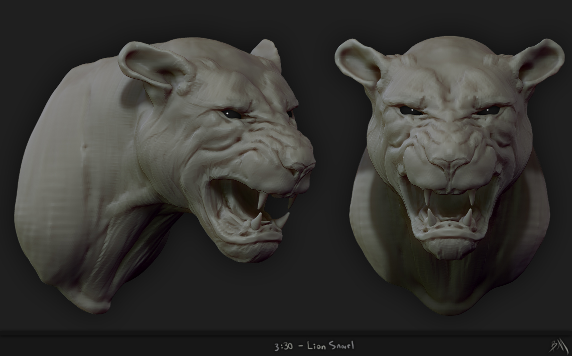 SpeedSketch_LionSnarl_03.30.jpg