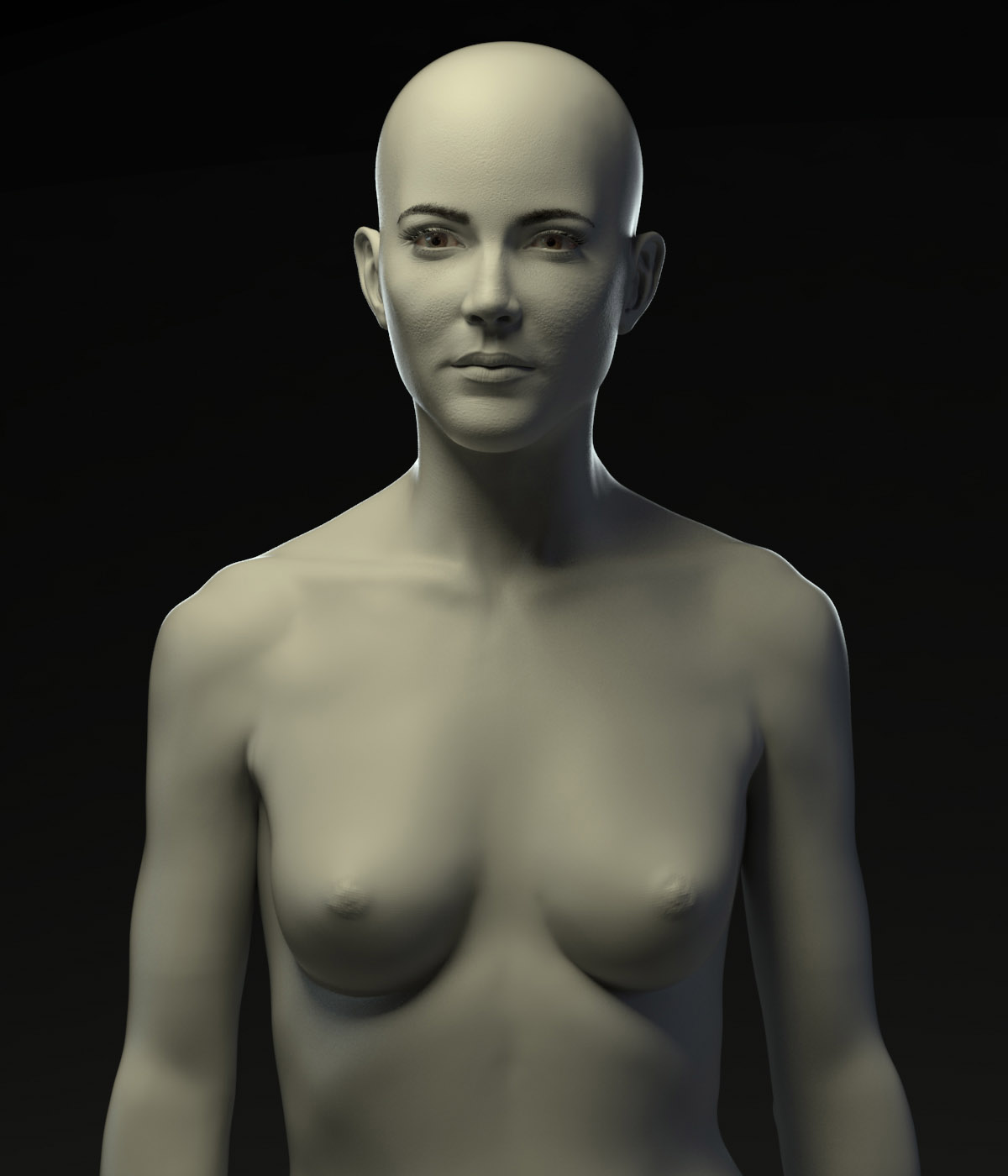 body2.jpg