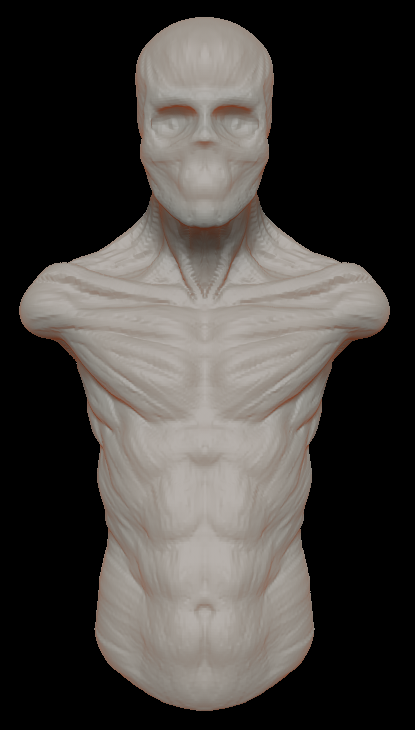 Anatomy Guff - ZBrushCentral