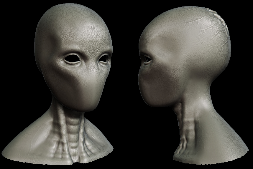 face.jpg